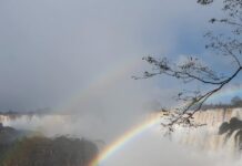 Reabrió la Garganta del Diablo: arcoíris dobles y el estado de alerta por los posibles efectos de El Niño en las Cataratas